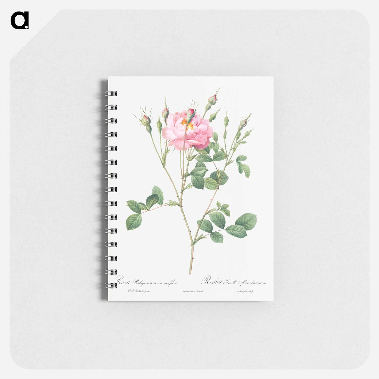 アートメモ帳-Anemone Flowered Sweetbriar - ピエール ジョゼフ ルドゥーテ Memo.
