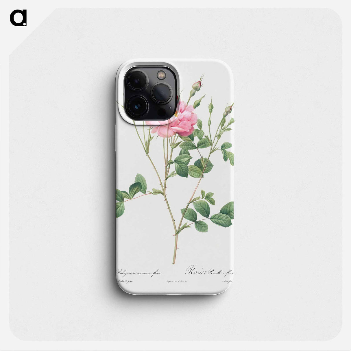 Anemone Flowered Sweetbriar - ピエール ジョゼフ ルドゥーテ Phone Case.