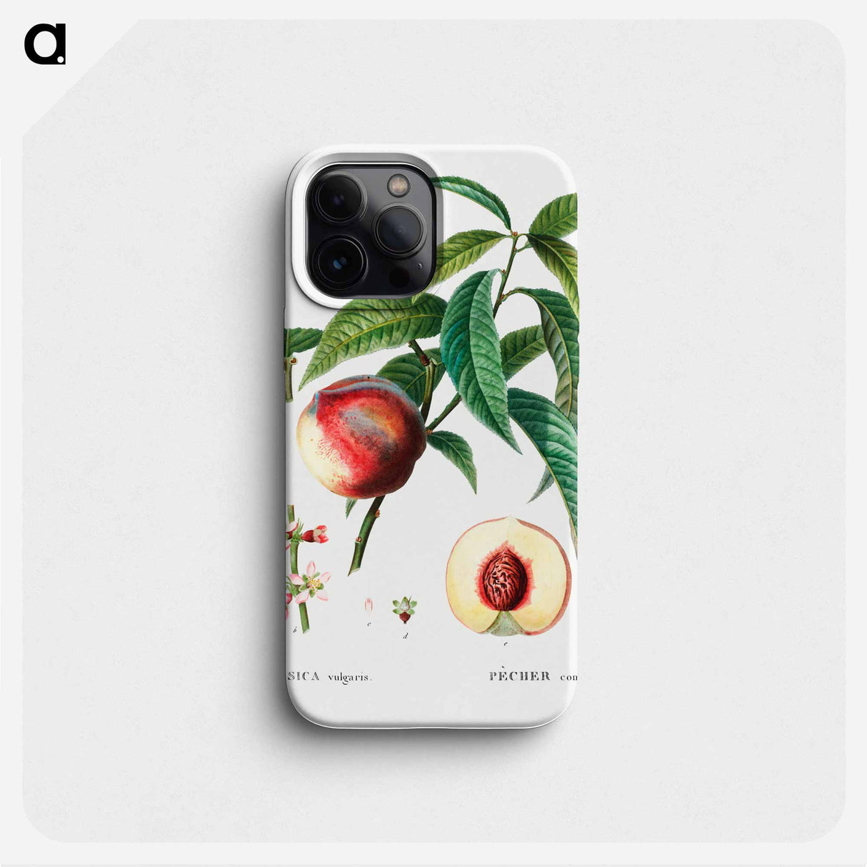 Peach (Persica vulgaris) - Pierre Joseph Redouté Phone Case.