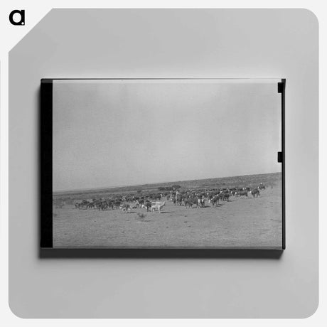 アートパネル-Mules, Lake Dick
 - ラッセル リー Canvas.