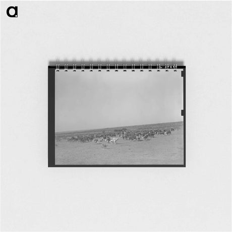 アートメモ帳-Mules, Lake Dick
 - ラッセル リー Memo.