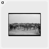 アートポストカード-Mules, Lake Dick
 - ラッセル リー Postcard.