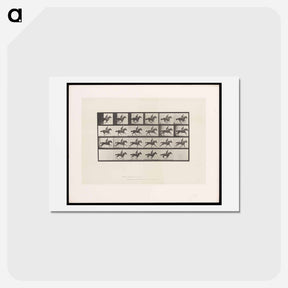 アートポストカード-Man on Horse
 - エドワード マイブリッジ Postcard.