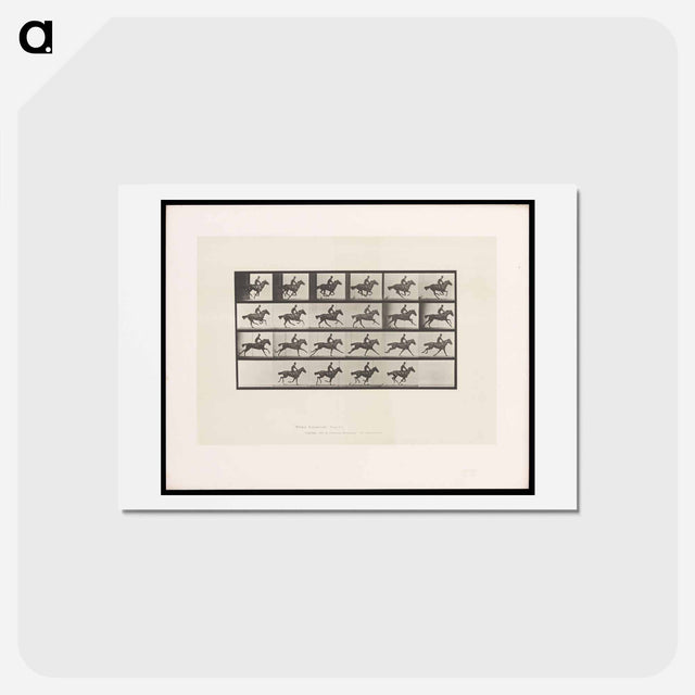 アートポストカード-Man on Horse
 - エドワード マイブリッジ Postcard.
