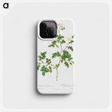 White Sweetbriar - Pierre Joseph Redouté Phone Case.