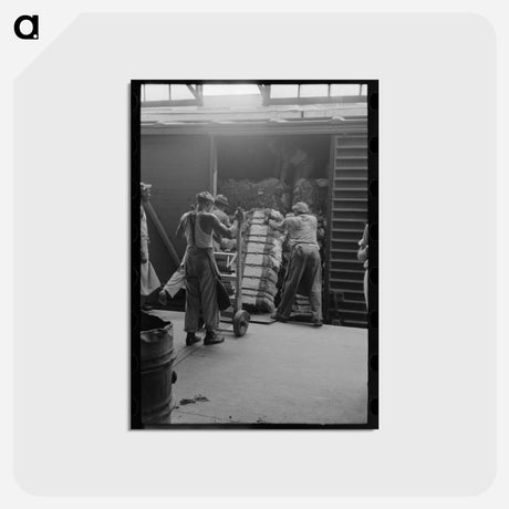アートポストカード-Unloading Cotton in Houston
 - ラッセル リー Postcard.