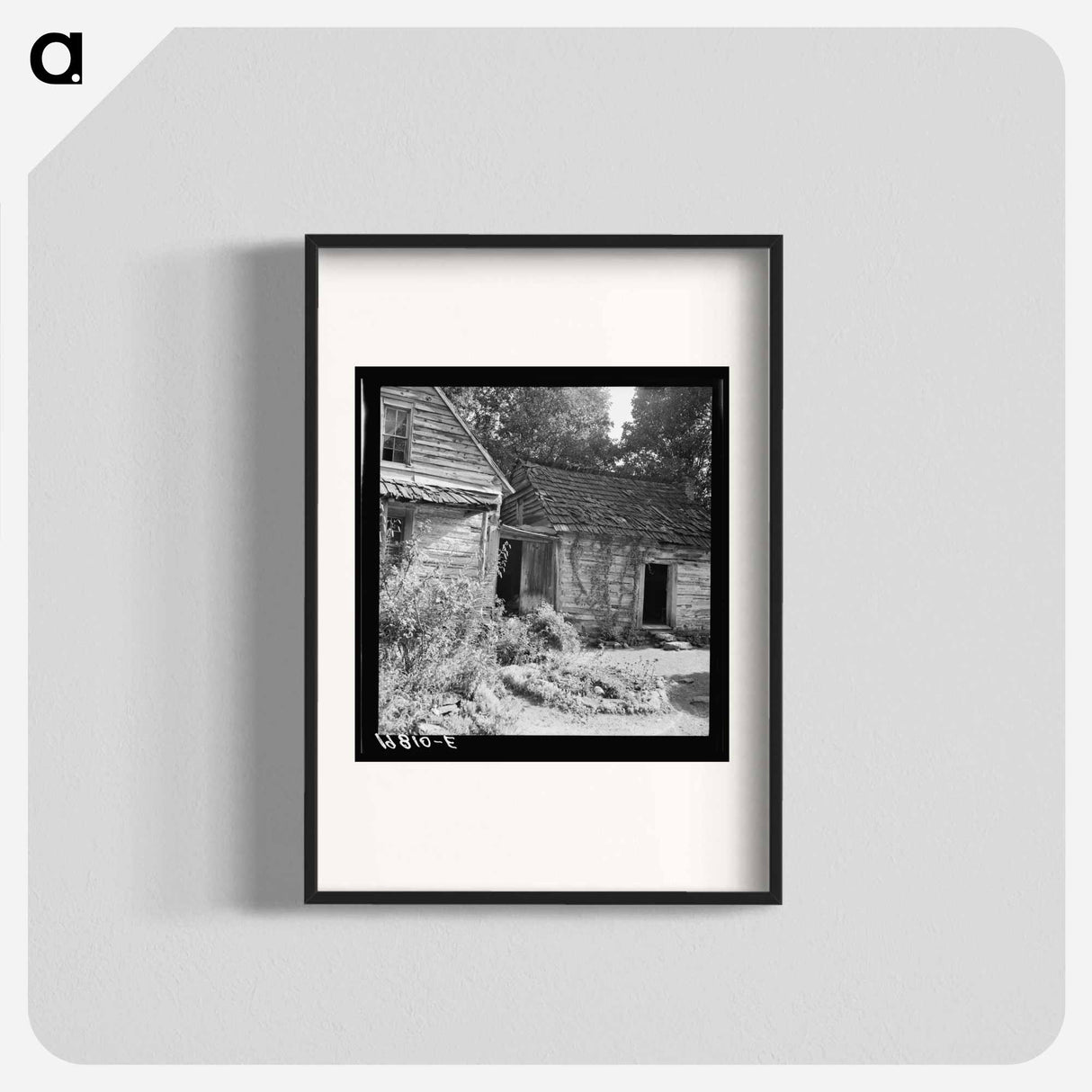 House and yard of owner - Dorothea Lange Poster.