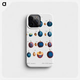 Plum - Pierre Joseph Redouté Phone Case.