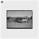 アートポストカード-Horse Lot, Pie Town
 - ラッセル リー Postcard.
