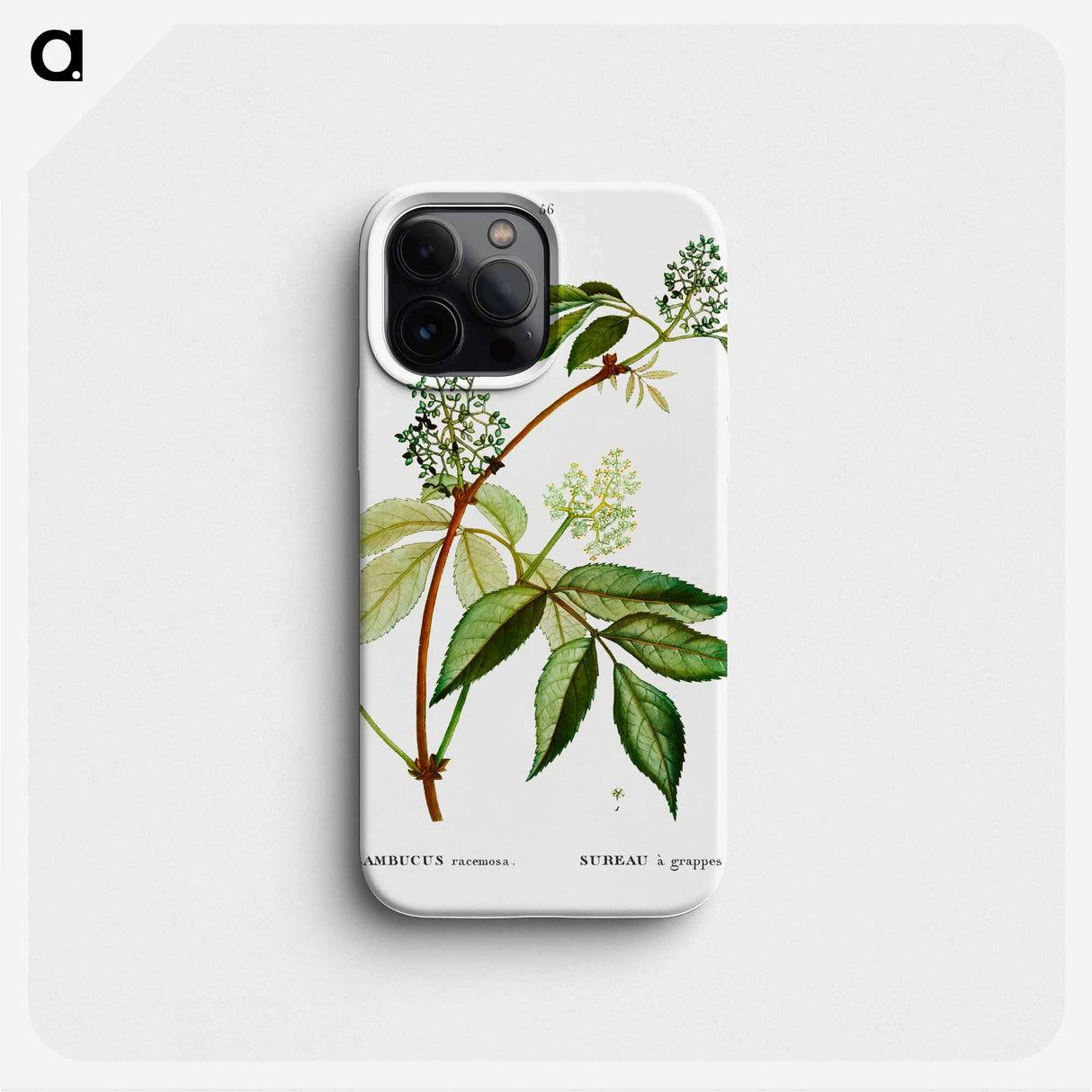 Red elderberry - Pierre Joseph Redouté Phone Case.