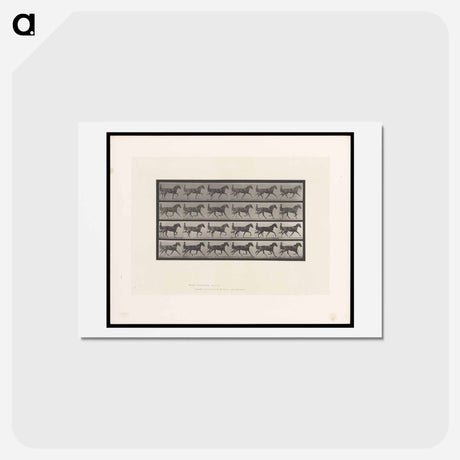 アートポストカード-Sulky Driver
 - エドワード マイブリッジ Postcard.