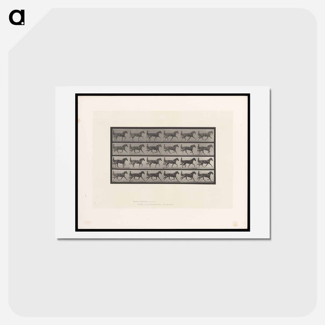 アートポストカード-Sulky Driver
 - エドワード マイブリッジ Postcard.