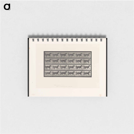 アートメモ帳-Sulky Driver
 - エドワード マイブリッジ Memo.
