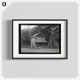 Tobacco barn near Gordonton, North Carolina - Dorothea Lange Poster.