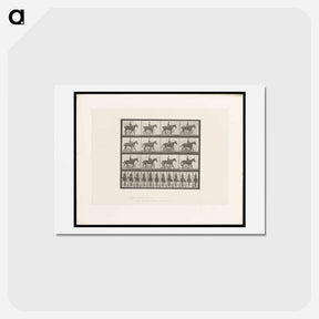 アートポストカード-Man on Horse
 - エドワード マイブリッジ Postcard.