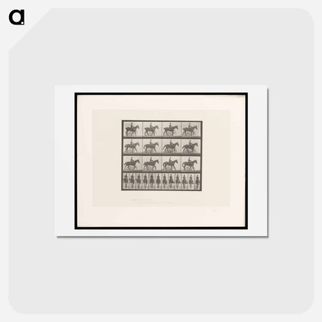 アートポストカード-Man on Horse
 - エドワード マイブリッジ Postcard.