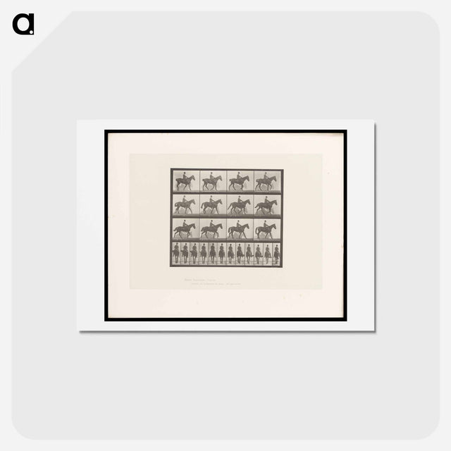 アートポストカード-Man on Horse
 - エドワード マイブリッジ Postcard.