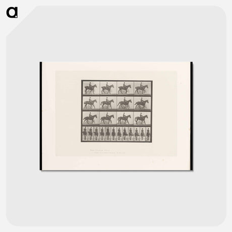 アートポストカード-Man on Horse
 - エドワード マイブリッジ Postcard.