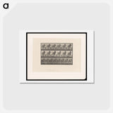 アートポストカード-Horse in Motion
 - エドワード マイブリッジ Postcard.