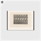 アートポストカード-Horse in Motion
 - エドワード マイブリッジ Postcard.