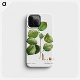 Hazelnut - Pierre Joseph Redouté Phone Case.