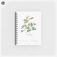 アートメモ帳-Eglantine also known as Wild Rosehips - ピエール ジョゼフ ルドゥーテ Memo.