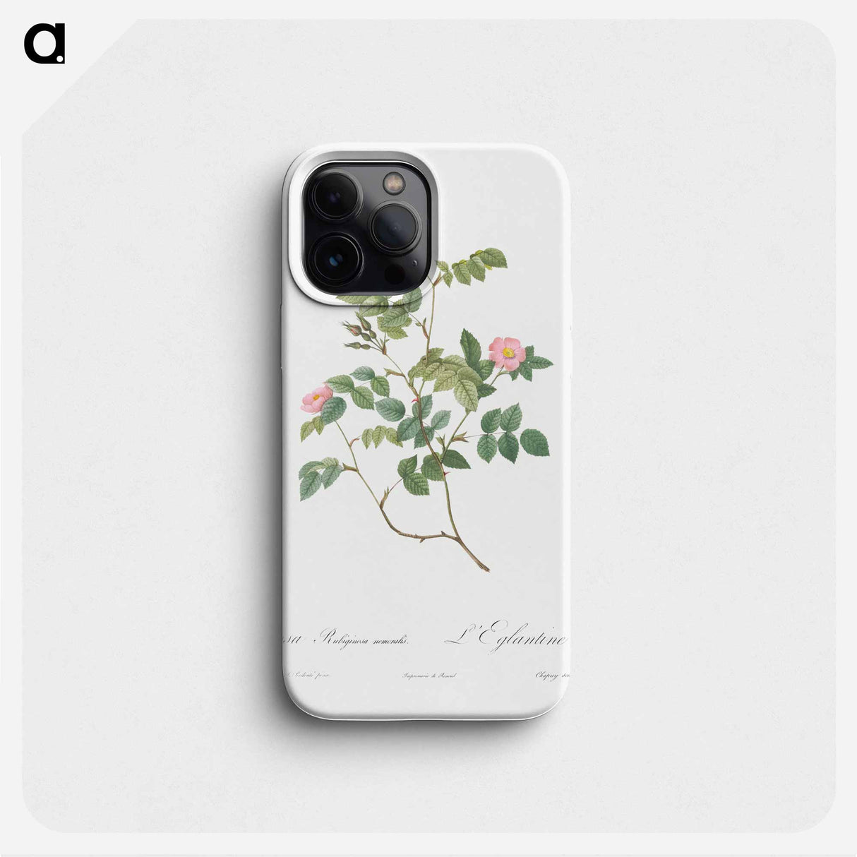 Eglantine also known as Wild Rosehips - ピエール ジョゼフ ルドゥーテ Phone Case.