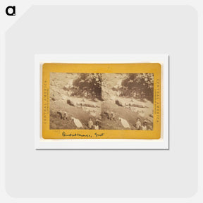 アートポストカード-Baths of Amolongo
 - エドワード マイブリッジ Postcard.