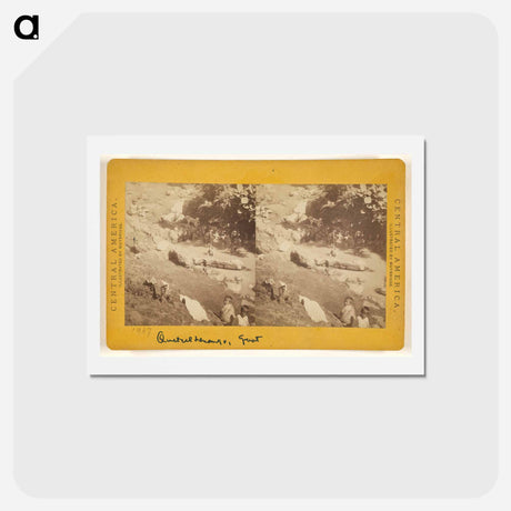 アートポストカード-Baths of Amolongo
 - エドワード マイブリッジ Postcard.