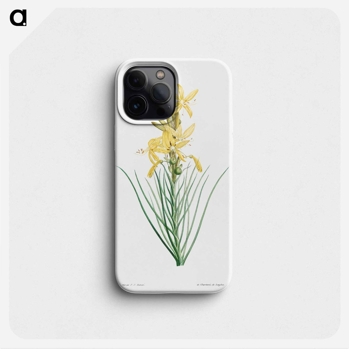 Yellow asphodel - ピエール ジョゼフ ルドゥーテ Phone Case.