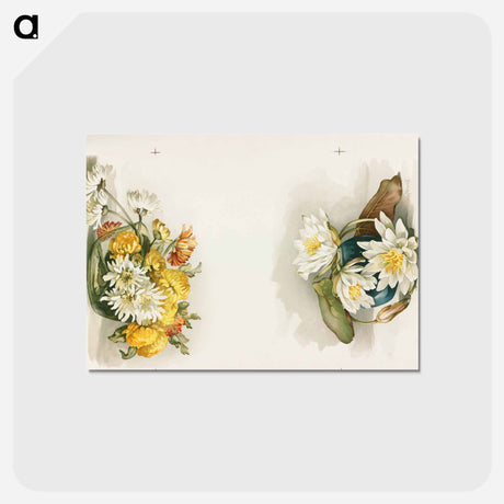 アートポストカード-Chrysanthemum Prints
 - ボストン公共図書館 Postcard.