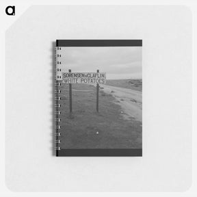 アートメモ帳-Untitled photo - ドロテア ラング Memo.