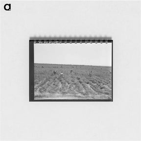 アートメモ帳-Untitled photo, possibly related to: Pea pickers near Calipatria, California - ドロテア ラング Memo.