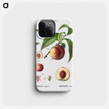 Peaches - Pierre Joseph Redouté Phone Case.