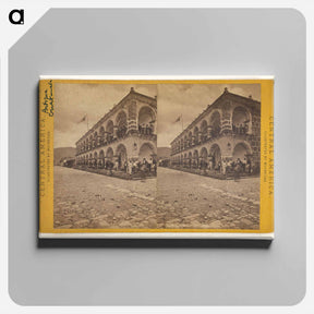 アートパネル-The Cabildo
 - エドワード マイブリッジ Canvas.