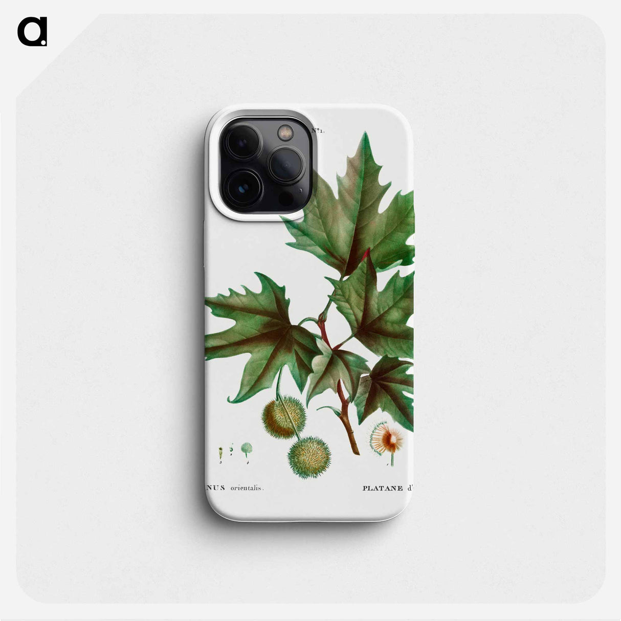 Platanus orientalis (Platane d'Orient) - Pierre Joseph Redouté Phone Case.