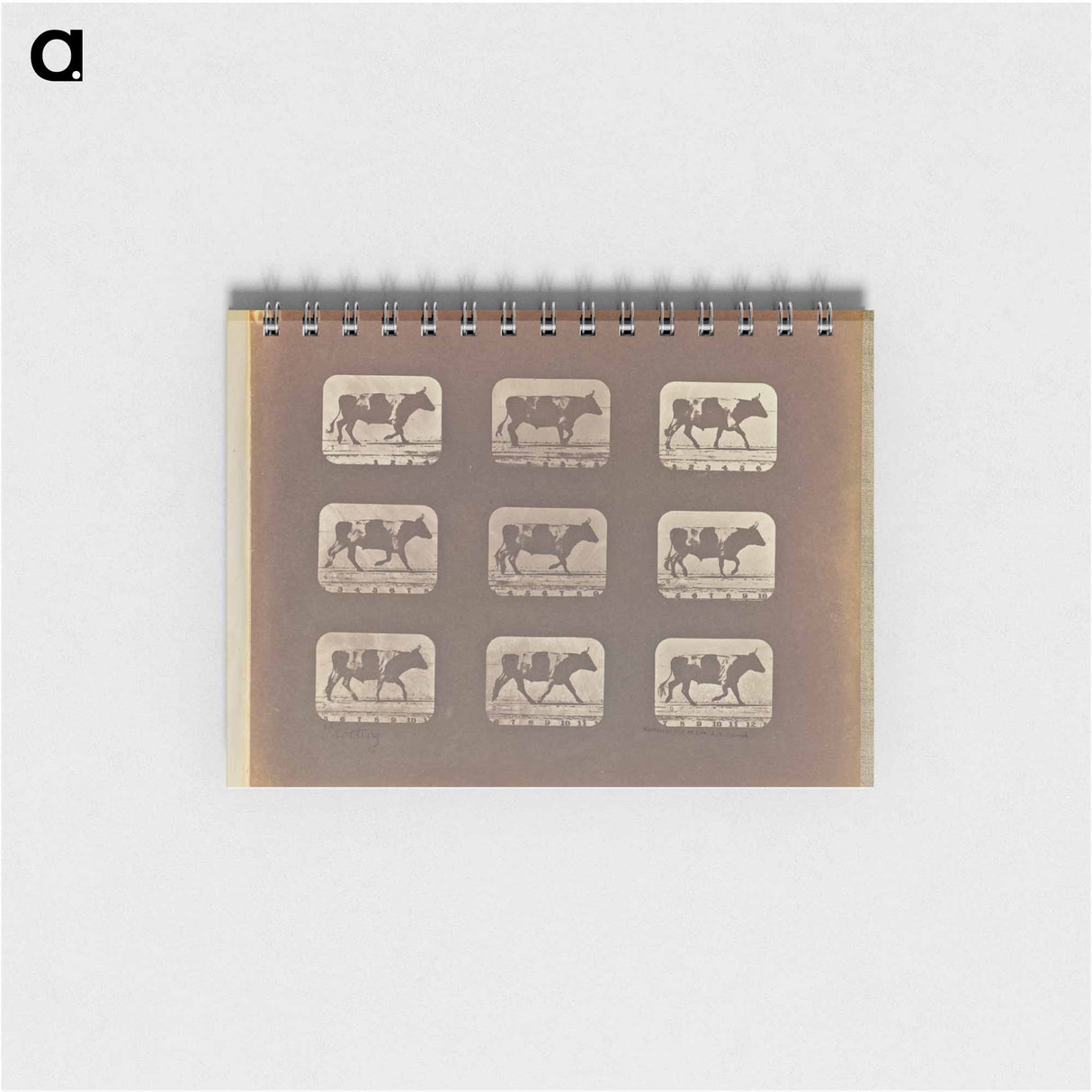 アートメモ帳-Trotting
 - エドワード マイブリッジ Memo.