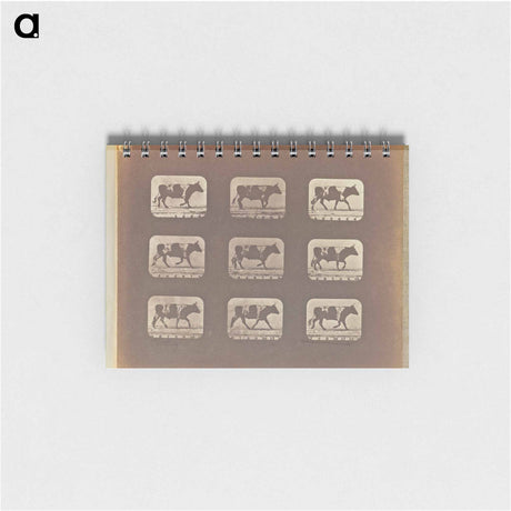アートメモ帳-Trotting
 - エドワード マイブリッジ Memo.