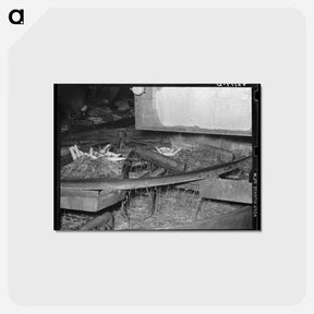 アートポストカード-Carrot Washing Table
 - ラッセル リー Postcard.