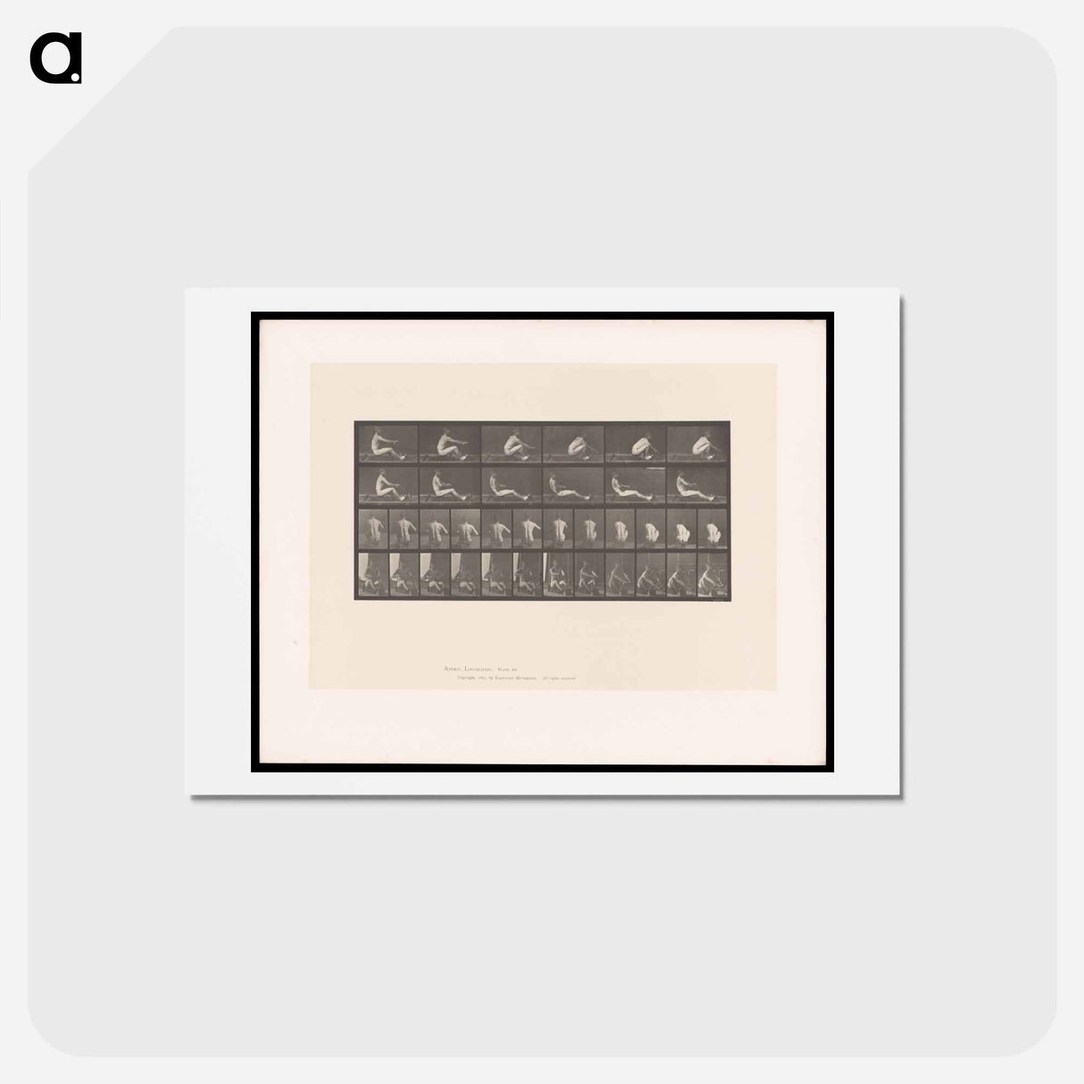 アートポストカード-Man on Rowing Machine
 - エドワード マイブリッジ Postcard.