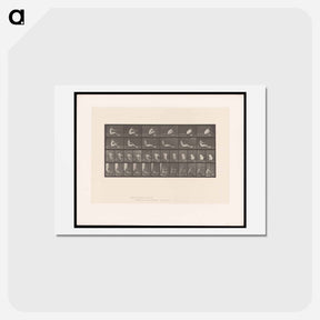 アートポストカード-Man on Rowing Machine
 - エドワード マイブリッジ Postcard.
