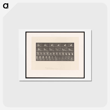 アートポストカード-Man on Rowing Machine
 - エドワード マイブリッジ Postcard.