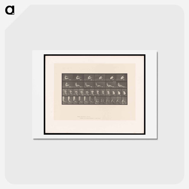 アートポストカード-Man on Rowing Machine
 - エドワード マイブリッジ Postcard.