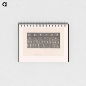 アートメモ帳-Man on Rowing Machine
 - エドワード マイブリッジ Memo.