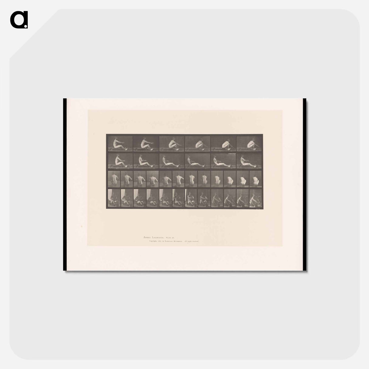 アートポストカード-Man on Rowing Machine
 - エドワード マイブリッジ Postcard.