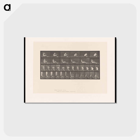 アートポストカード-Man on Rowing Machine
 - エドワード マイブリッジ Postcard.