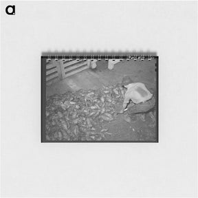アートメモ帳-Watering the Horses at Camp
 - ラッセル リー Memo.