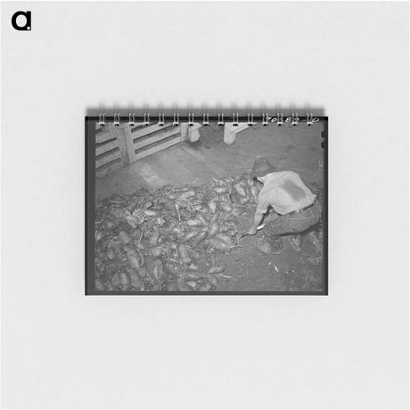 アートメモ帳-Watering the Horses at Camp
 - ラッセル リー Memo.