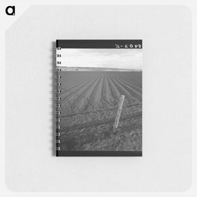 アートメモ帳-Untitled photo - ドロテア ラング Memo.