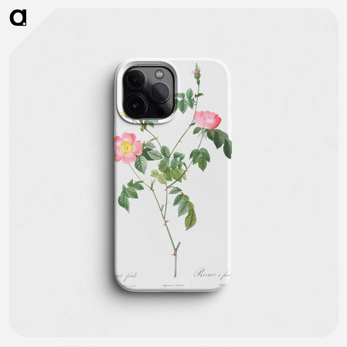 Austrian Briar, Rosa foetida - ピエール ジョゼフ ルドゥーテ Phone Case.